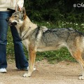 DONA MALY BYSTEREC