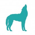 CANIS LUPUS A1