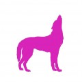 CANIS LUPUS A2