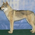 YUKON Z MOLU ES