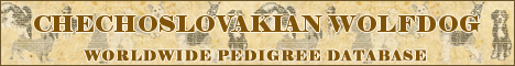 DogsFiles.com - databases of all dog's breeds.