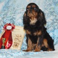 RAISING STAR YUKON RAISING STAR YUKON