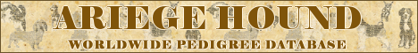 DogsFiles.com - databases of all dog's breeds.