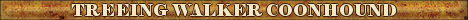 DogsFiles.com - databases of all dog's breeds.