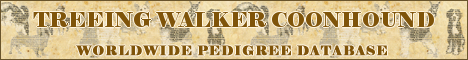 DogsFiles.com - databases of all dog's breeds.