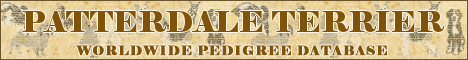 DogsFiles.com - databases of all dog's breeds.