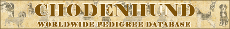 DogsFiles.com - databases of all dog's breeds.