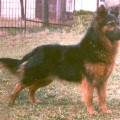 BALDUR SANTANA