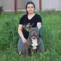 BORIS LEGENDA ABH BORIS LEGENDA ABH