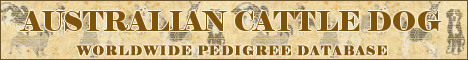 DogsFiles.com - databases of all dog's breeds.