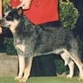 HEELERHILL W F CODY