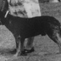 BELEMBA CAESAR