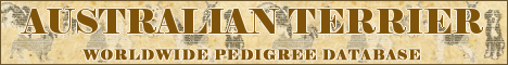 DogsFiles.com - databases of all dog's breeds.