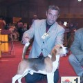 DARAGOJ COUNTRY CLASSIC