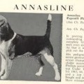 ANNASLINE PAGE MILL PLAYBOY