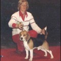 BEAGLER'S BLACK-GOLD
