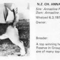 ANNASLINE HIGHLIGHT