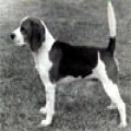 DIALYNNE ELDON