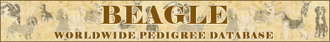 DogsFiles.com - databases of all dog's breeds.