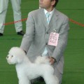 SNOWOLF'S VIVA FINLANDIA