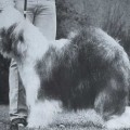 REEUWIJK'S FILMSTAR IN SILVER