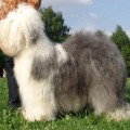 GLORY FOR RUSSIA FROM BEAUTIFUL HIGHLAND