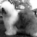 POCKETHALL SILVER CHARM