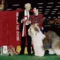BAHLAMBS BARNYARD BARON