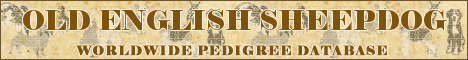 DogsFiles.com - databases of all dog's breeds.