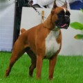 GREIS KELLY NORDOM