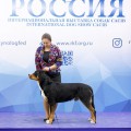 SENNENHUND ROSSII FIZZHERALD SENNENHUND ROSSII FIZZHERALD