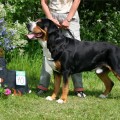 QUENTIN FROM BALIHARA RANCH