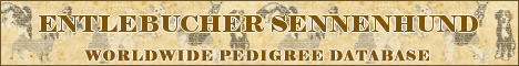 DogsFiles.com - databases of all dog's breeds.