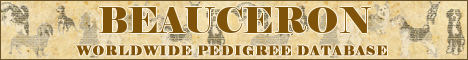 DogsFiles.com - databases of all dog's breeds.