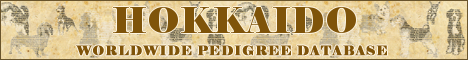 DogsFiles.com - databases of all dog's breeds.