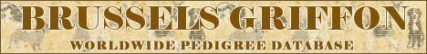 DogsFiles.com - databases of all dog's breeds.