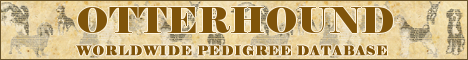 DogsFiles.com - databases of all dog's breeds.