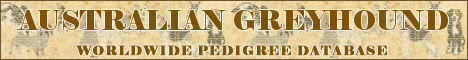 DogsFiles.com - databases of all dog's breeds.