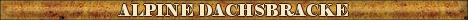 DogsFiles.com - databases of all dog's breeds.