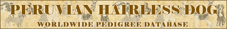 DogsFiles.com - databases of all dog's breeds.