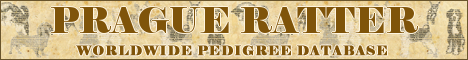 DogsFiles.com - databases of all dog's breeds.