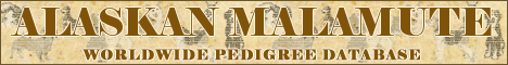 DogsFiles.com - databases of all dog's breeds.