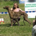 TATANKA VITKA HESPERUS HOUR WONDERLAND TATANKA VITKA HESPERUS HOUR WONDERLAND