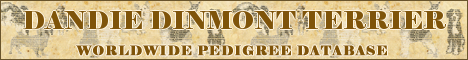 DogsFiles.com - databases of all dog's breeds.