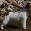 PRET A PORTER DI SUTRI