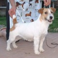 ECUDORNICE