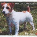 IONA ICE I O