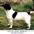TRIX OF JACK'S PARADISE