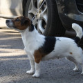MARSI MAY CHARMZ OF THE MALTA