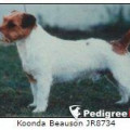KOONDA BEAUSON